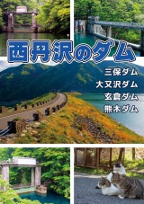 西丹沢のダム パッケージ画像
