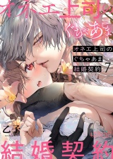 オネエ上司のぐちゃあま結婚契約 7 パッケージ画像
