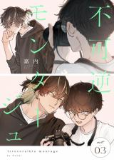 不可逆モンタージュ act.3 パッケージ画像