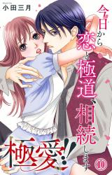 極愛!!　今日から恋と極道、相続します10 パッケージ画像