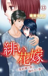 緋い花嫁～契約婚と彼と拗れた一族～13 パッケージ画像