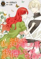 私と結婚した事、後悔していませんか？33 パッケージ画像