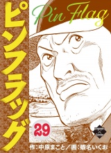 ピンフラッグ 29 パッケージ画像