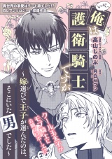 いや、俺は護衛騎士ですが 〜嫁選びで王子が選んだのは、そこにいた男でした〜 パッケージ画像