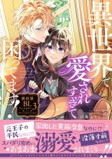 異世界で愛されすぎて困ってます！異世界BLアンソロジー（3巻） パッケージ画像