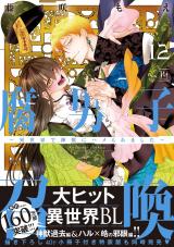 腐男子召喚～異世界で神獣にハメられました～（12巻） 【特別描き下ろし漫画付き】 パッケージ画像