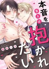 本音を言えば抱かれたい 分冊版（第3話） パッケージ画像
