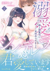 溺愛シンデレラ 極上御曹司に見初められました 2 パッケージ画像