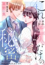これは二人だけの秘密（4巻）【完】 パッケージ画像