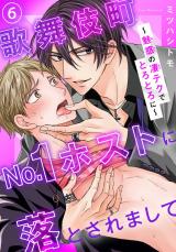 歌舞伎町No.1ホストに落とされまして～魅惑の凄テクでとろとろに～6 パッケージ画像