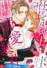 社長は紳士で甘い溺愛暴君 〜37歳、貧乏清掃員だけど夢みたいな恋始めます〜 （2） パッケージ画像