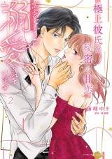 極上彼氏と秘密の甘恋〜出会ってすぐに溺愛されています〜 ２ パッケージ画像