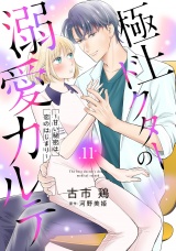 【分冊版】極上ドクターの溺愛カルテ〜甘い秘密は恋のはじまり〜11話 パッケージ画像