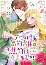 笑わない婚約者様が恋焦がれているのは変装した私のようです パッケージ画像