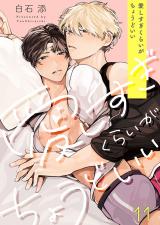 愛しすぎくらいがちょうどいい11 パッケージ画像