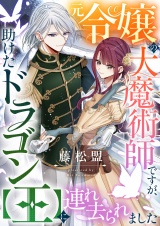 元令嬢の大魔術師ですが、助けたドラゴン【王】に連れ去られました パッケージ画像