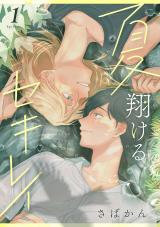 夏翔けるセキレイ1 パッケージ画像