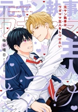 元ヤン執事はワガママ主人をしつけたい パッケージ画像