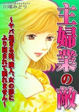 主婦業の敵～ヤバ過ぎる姑、隣人、女の影にふり回されて眠れません～ パッケージ画像