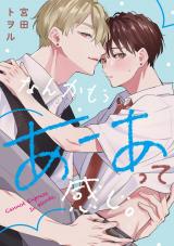 なんかもうあーあって感じ。(11) パッケージ画像