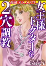 絶倫SEX28 パッケージ画像
