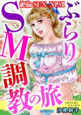 絶倫SEX48 パッケージ画像