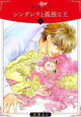 シンデレラと孤独な王4 パッケージ画像
