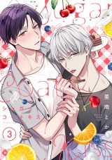 シュガーコートキス(3) パッケージ画像