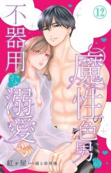 魔性の色男の不器用な溺愛12 パッケージ画像