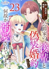 妹に婚約者を略奪されたので、公爵家の後輩と偽装婚約したら何故か溺愛されています。（23） パッケージ画像