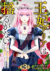 王妃アリアは揺るがない〜陛下は側妃に夢中なので、私は国造りいたします〜３ パッケージ画像