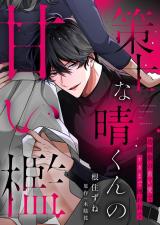 策士な晴くんの甘い檻〜幼馴染の重い愛でナカまで囲われて パッケージ画像