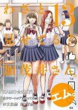 わざと見せてる？ 加茂井さん。（13巻） パッケージ画像