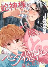 蛇神様は嫁にベタ惚れなんだけど、6 パッケージ画像