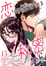 恋の始まりは秘密から１３ パッケージ画像