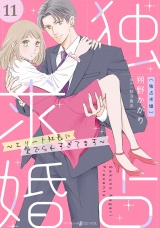 【分冊版】独占求婚〜エリート社長に愛でられすぎてます〜11話 パッケージ画像
