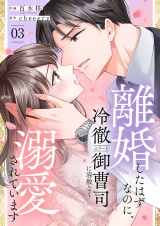 離婚したはずなのに、冷徹エリート御曹司に容赦なく溺愛されています【電子単行本版】３ パッケージ画像