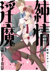 純情淫魔を満たすのは1 パッケージ画像