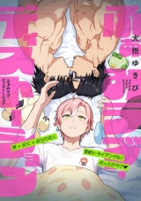 ふぁみラブ・ディストーション3 パッケージ画像