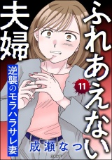 【分冊版】ふれあえない夫婦 逆襲のモラハラサレ妻 【第11話】 パッケージ画像