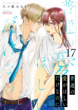 普通の愛がほしいだけなのに 17 パッケージ画像