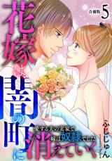 花嫁は、闇の町に消えていく　愛する夫の実家で嫁は奴隷でした【合冊版】5 パッケージ画像