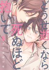 どうせ逝くなら死ぬほど抱いて5 パッケージ画像