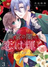 無常の闇にも、恋は輝く。～没落令嬢と裏切りの想い人3 パッケージ画像