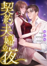 契約夫婦の夜３ パッケージ画像