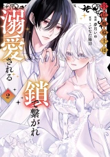 宮廷魔導士は鎖で繋がれ溺愛される２ パッケージ画像