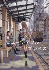 beautiful place 4（ヒーローズコミックス わいるど） パッケージ画像