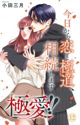 極愛!!　今日から恋と極道、相続します12 パッケージ画像