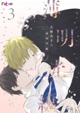 薄明光線 3 パッケージ画像