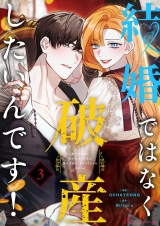 【フルカラー】結婚ではなく破産したいんです！ 3 パッケージ画像